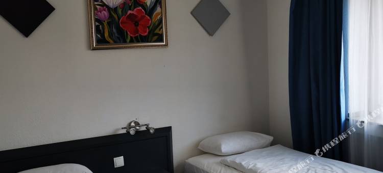 梅里安酒店(Hotel Merian)图片