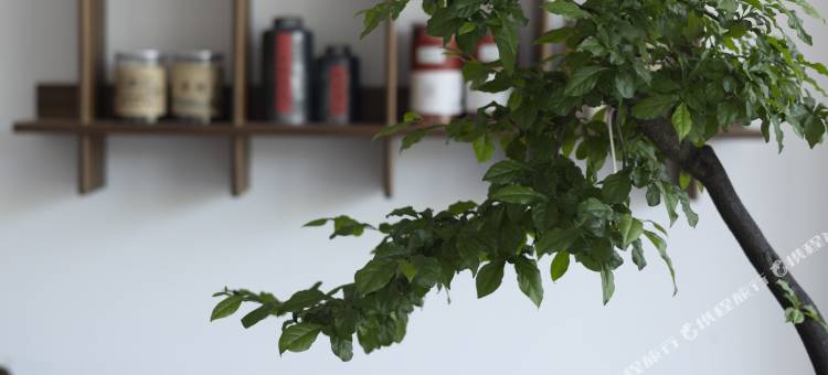 九华山栖息里民宿(地藏王圣像景区店)图片