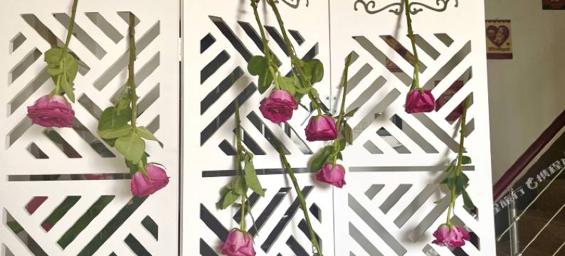 不见不散青年旅社图片