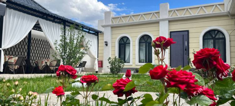 特克斯县栖闲里民宿(八卦城店)图片