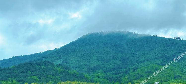 宜兴市己合半山民宿(善卷洞店)图片