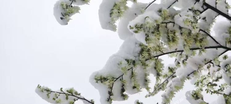 云想小屋民宿图片