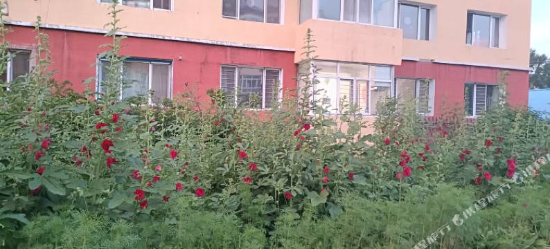 汤旺河布丁家庭旅馆图片