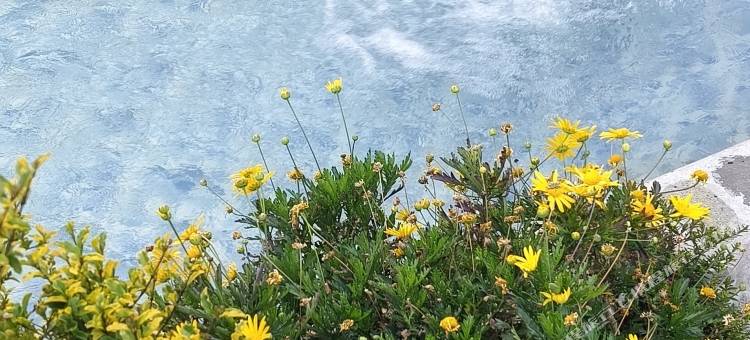 留白芬芳温泉小院图片