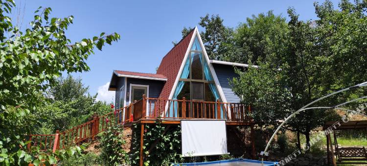 杏花坡度假民宿图片