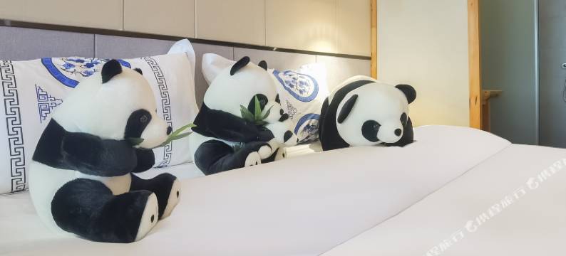 梵庭酒店(成都天府广场店)图片