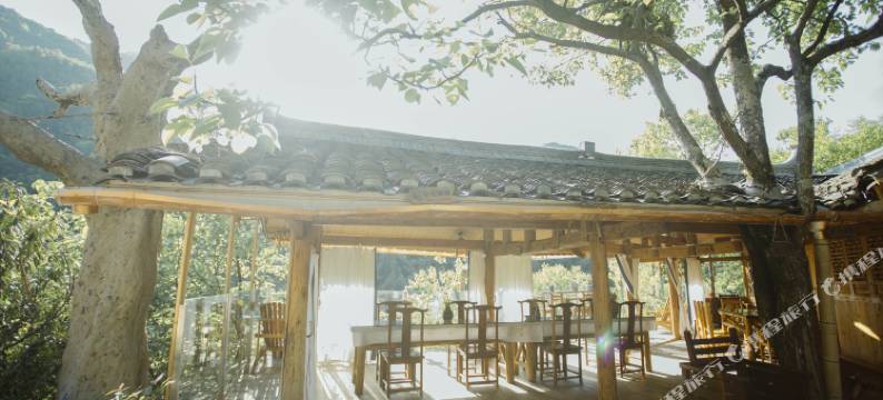 绥宁铁杉林苑民宿图片