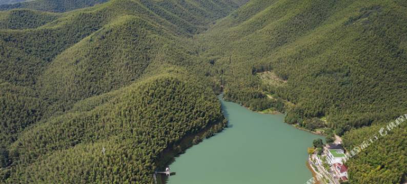 沈居别苑·长兴竹海·环山群抱生态疗愈·轻智能度假美宿图片