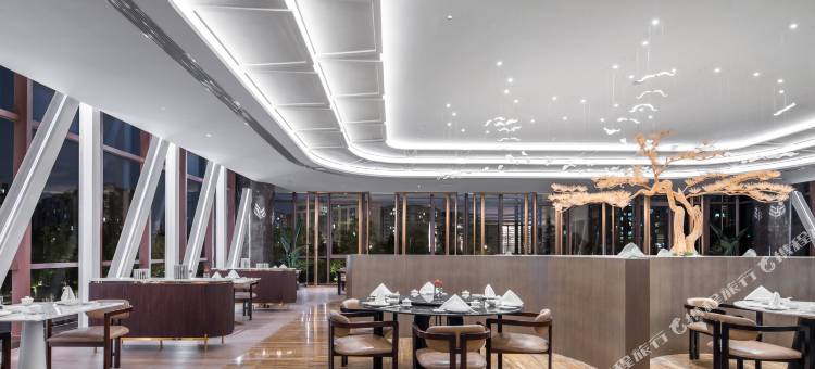 成都非遗博览园缇沃丽酒店图片