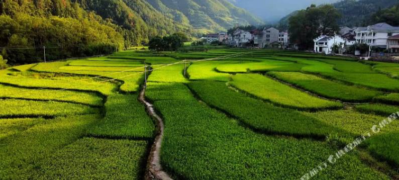 青田山居美景别墅轰趴馆图片