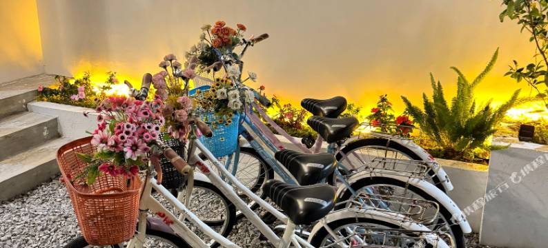 大理枫尚居民宿(喜洲麦田洱海生态廊道店)图片