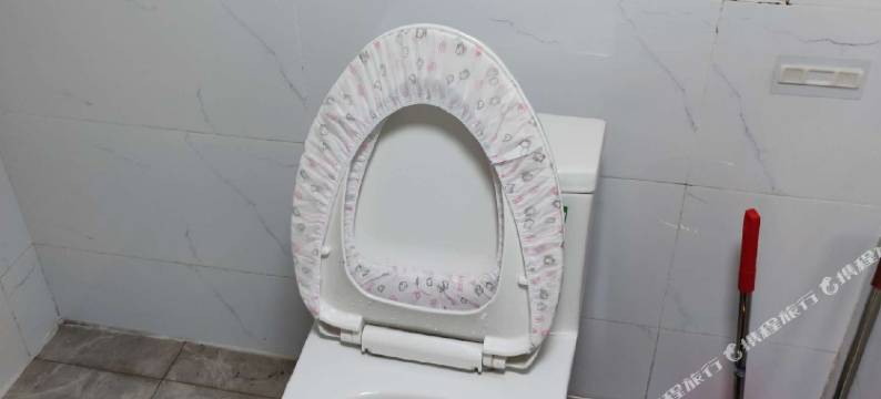 百金汉青年公寓图片