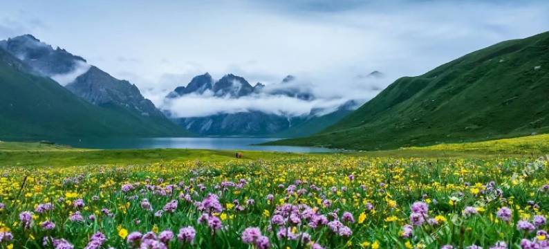 久治王府优选酒店图片