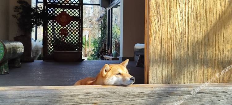 大理隐居民宿图片