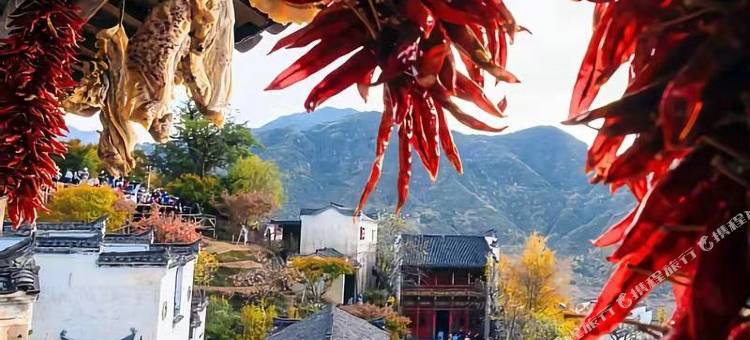 花韵山居·篁岭cauliflower晒秋观景美墅图片