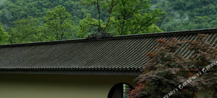 青城山无境山居图片