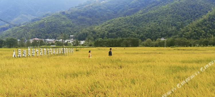 杭州南山养生别院图片