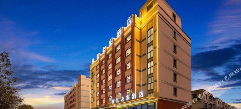 浙礼未来ZheliFuture.UniqueDesigner酒店(金华水果批发市场店)图片