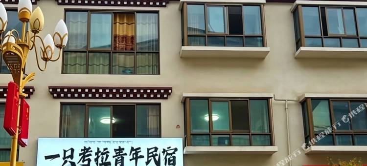 一只考拉青年民宿图片