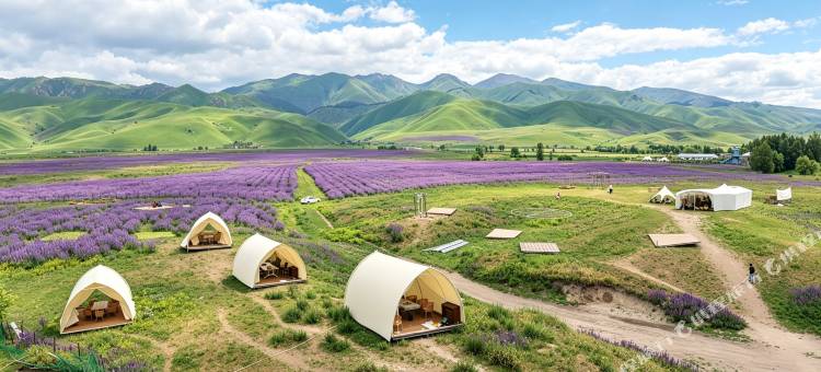 花筑·近山 Wandering Field|野奢泳池山景度假民宿(那拉提镇店)图片