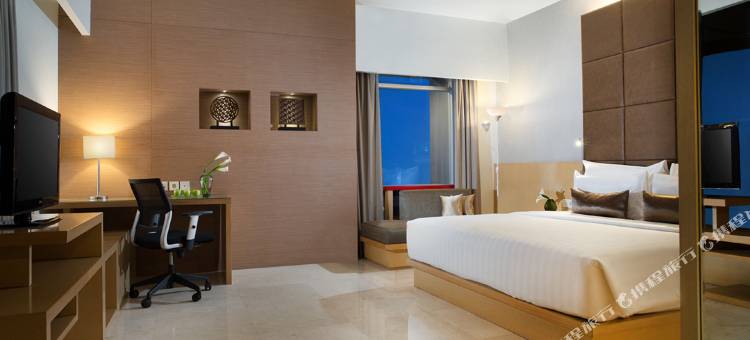 棉兰S山蒂卡首映酒店及会议(Santika Premiere Dyandra Hotel & Convention - Medan)图片