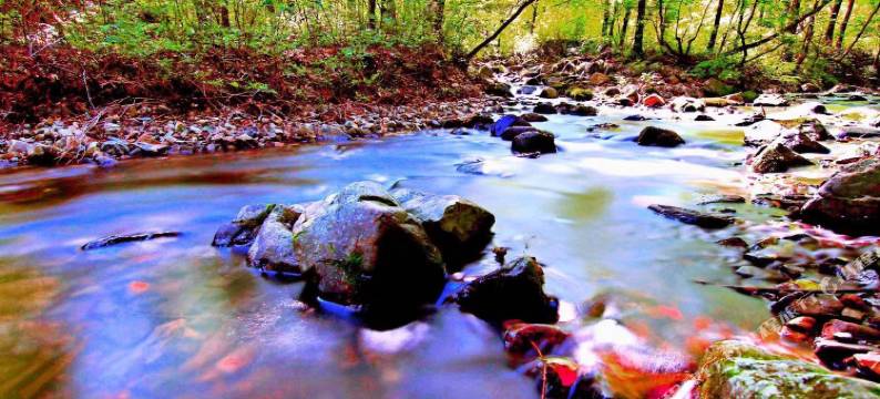 本溪县居枫缘农家院图片