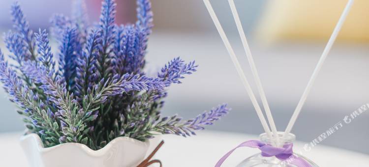 麗枫酒店(镇江火车站万达广场店)图片