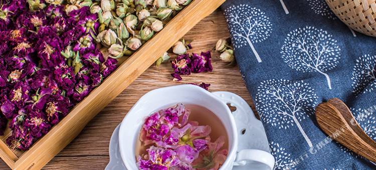 阳朔柠檬湾度假酒店(西街店)图片