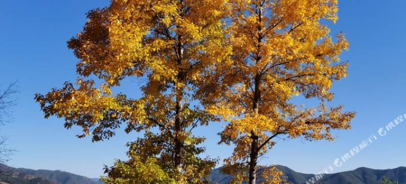 泸沽湖安娜俄半岛湖景精品酒店图片