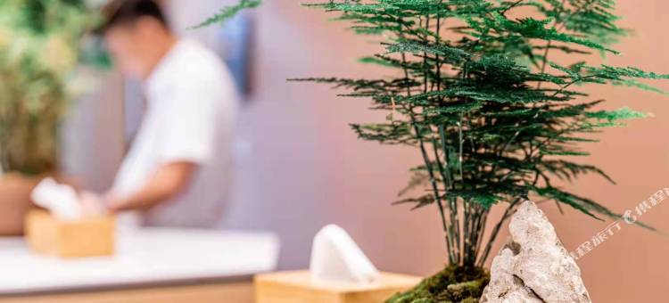 竹舟·智选酒店(贵阳喷水池妇幼儿童医院店)图片