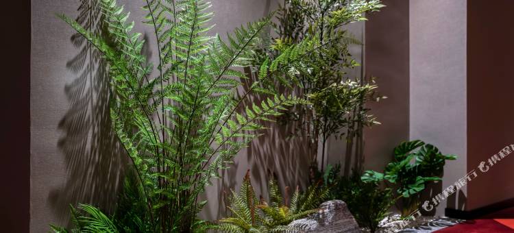 柏曼酒店(德阳五洲广场工程职业技术大学店)图片