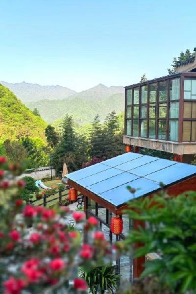 Group 3, Yinchanggou Village, Xichahe Town, Foping County, Shaanxi Province, China