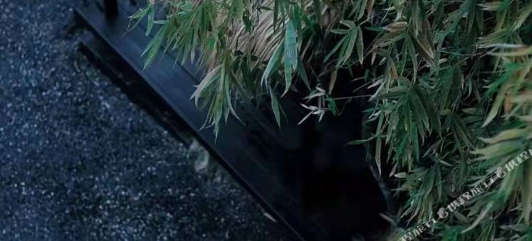 贵阳禧竹山房亲子民宿(青岩古镇西门店)图片