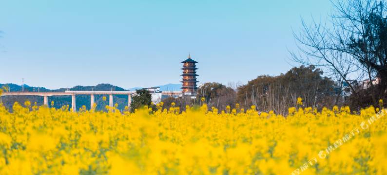 婺女洲度假区万卷酒店图片