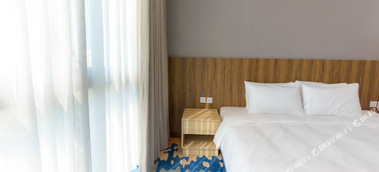 震大金郁金香酒店图片