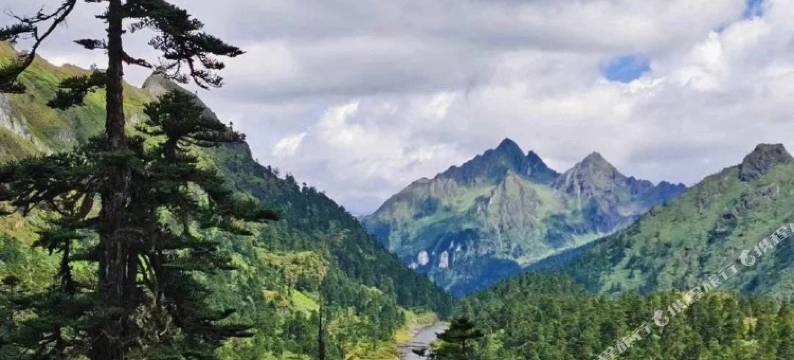 维西兰韵茶居民宿图片