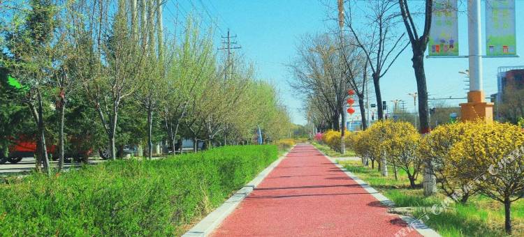 和林格尔蒙和酒店图片