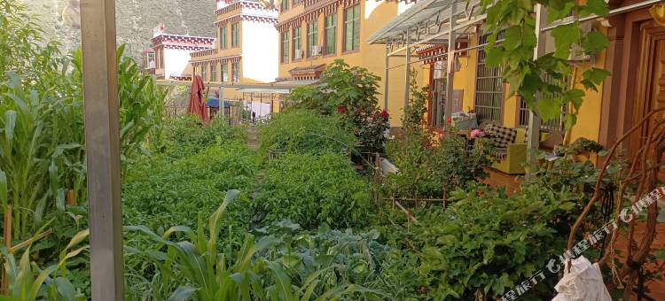 不龙民宿酒店图片