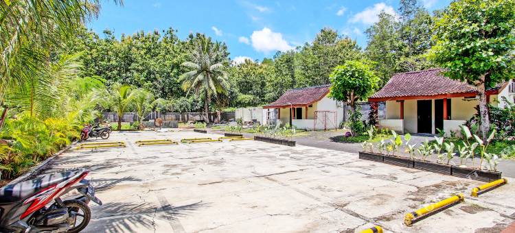 SPOT ON 92257 兰花宾馆(Spot on 92257 Orchid Guest House)图片