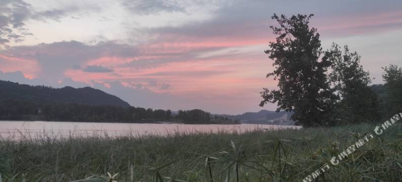 阆中南楼酒店(古城店)图片
