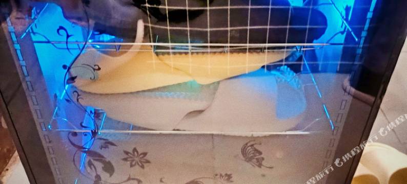 风雪夜归人青旅(岳阳步行街店)图片