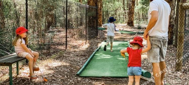 RAC卡里谷度假屋(RAC Karri Valley Resort)图片