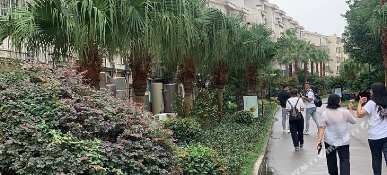 普陀山八零创业之还愿客栈图片