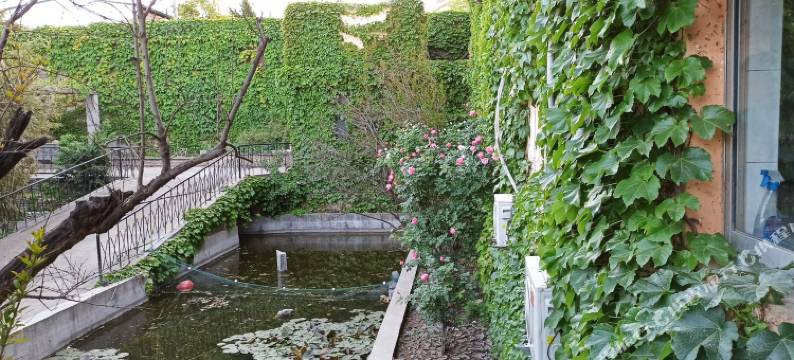 泰安九皋山房客栈图片