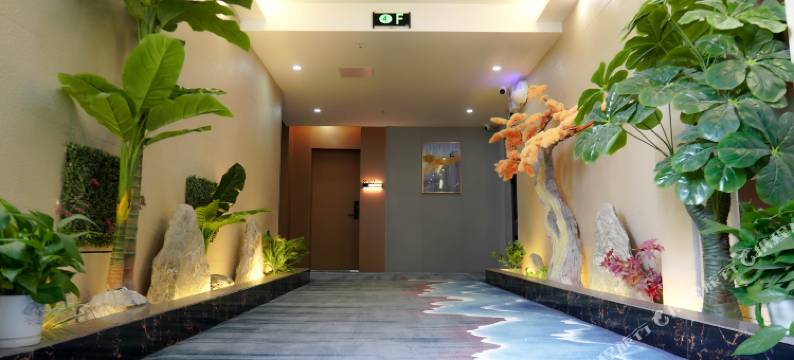 泊悦国际酒店(曹县庄寨政府店)图片