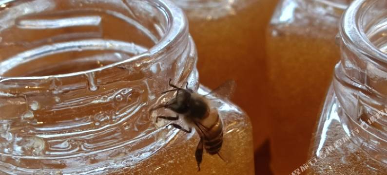 瑶里瑶云客栈图片