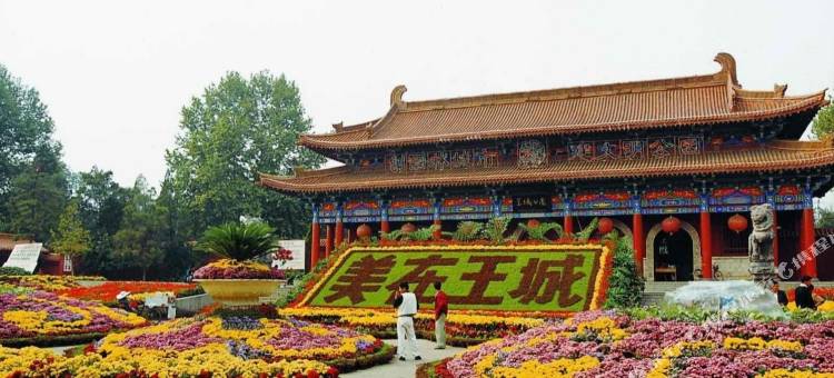 如家莫泰酒店(王城公园万达广场店)图片