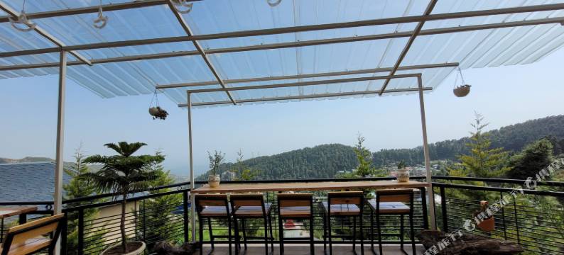 Young Monk Hostel & Cafe Dharamkot图片