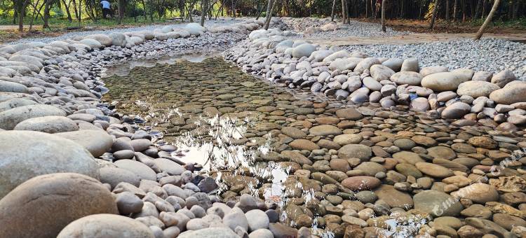 七彩玫瑰庄园图片