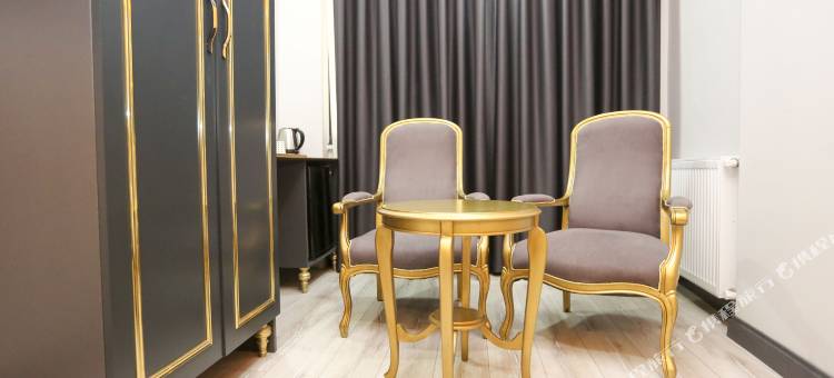 塔克西姆Feridiye DNZ酒店(DNZ Taksim Feridiye Hotel)图片